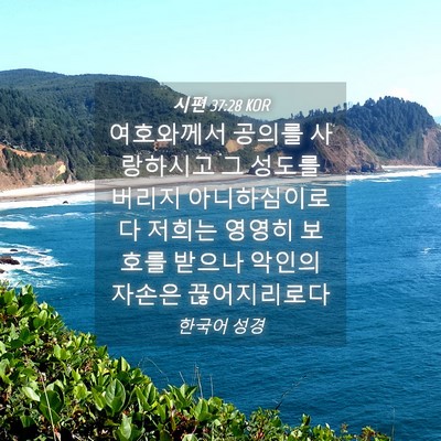 Picture 04 - 시편 37:28 KOR - 여호와께서 공의를 사랑하시고 그 - Bible Verse Picture