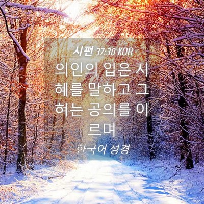 Picture 04 - 시편 37:30 KOR - 의인의 입은 지혜를 말하고 그 혀는 - Bible Verse Picture