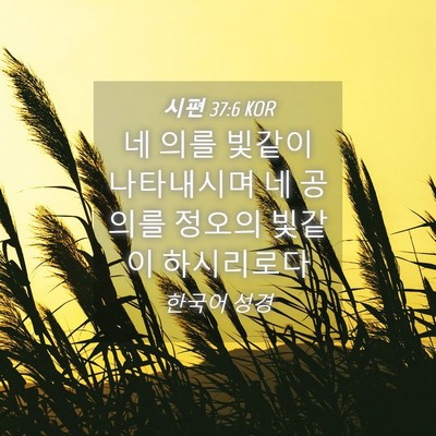 Picture 04 - 시편 37:6 KOR - 네 의를 빛같이 나타내시며 네 - Bible Verse Picture