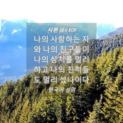 Picture 04 - 시편 38:11 KOR - 나의 사랑하는 자와 나의 친구들이 - Bible Verse Picture