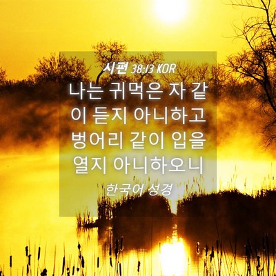 Picture 04 - 시편 38:13 KOR - 나는 귀먹은 자 같이 듣지 아니하고 - Bible Verse Picture
