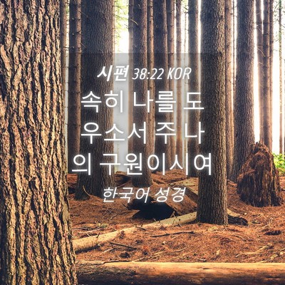 Picture 04 - 시편 38:22 KOR - 속히 나를 도우소서 주 나의 - Bible Verse Picture