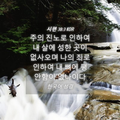Picture 04 - 시편 38:3 KOR - 주의 진노로 인하여 내 살에 성한 - Bible Verse Picture