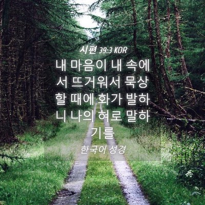 Picture 04 - 시편 39:3 KOR - 내 마음이 내 속에서 뜨거워서 - Bible Verse Picture