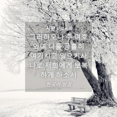 Picture 04 - 시편 41:10 KOR - 그러하오나 주 여호와여 나를 긍휼히 - Bible Verse Picture