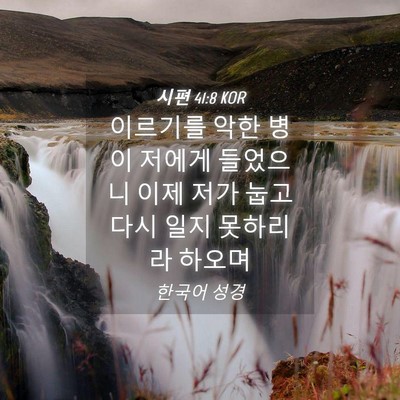 Picture 04 - 시편 41:8 KOR - 이르기를 악한 병이 저에게 들었으니 - Bible Verse Picture