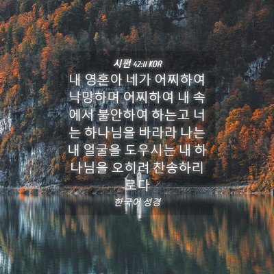 Picture 04 - 시편 42:11 KOR - 내 영혼아 네가 어찌하여 낙망하며 - Bible Verse Picture