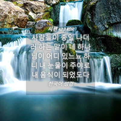 Picture 04 - 시편 42:3 KOR - 사람들이 종일 나더러 하는 말이 네 - Bible Verse Picture