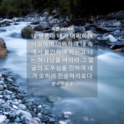 Picture 04 - 시편 42:5 KOR - 내 영혼아 네가 어찌하여 낙망하며 - Bible Verse Picture