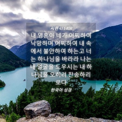 Picture 04 - 시편 43:5 KOR - 내 영혼아 네가 어찌하여 낙망하며 - Bible Verse Picture