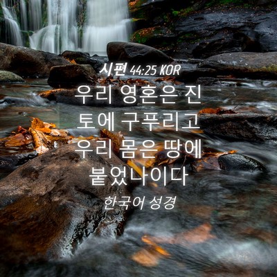Picture 04 - 시편 44:25 KOR - 우리 영혼은 진토에 구푸리고 우리 - Bible Verse Picture