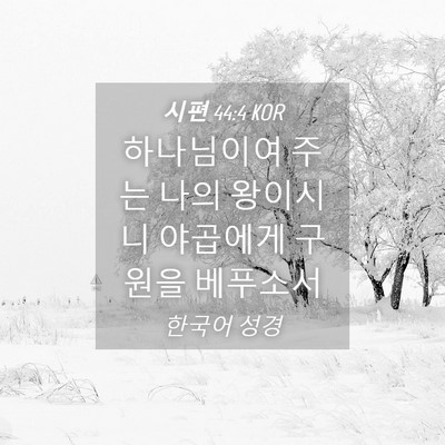 Picture 04 - 시편 44:4 KOR - 하나님이여 주는 나의 왕이시니 - Bible Verse Picture