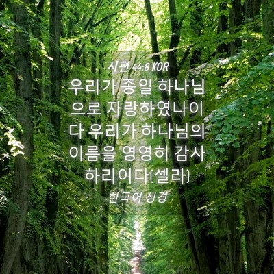 Picture 04 - 시편 44:8 KOR - 우리가 종일 하나님으로 - Bible Verse Picture