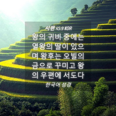 Picture 04 - 시편 45:9 KOR - 왕의 귀비 중에는 열왕의 딸이 - Bible Verse Picture