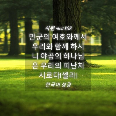 Picture 04 - 시편 46:11 KOR - 만군의 여호와께서 우리와 함께 - Bible Verse Picture
