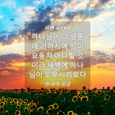 Picture 04 - 시편 46:5 KOR - 하나님이 그 성중에 거하시매 성이 - Bible Verse Picture