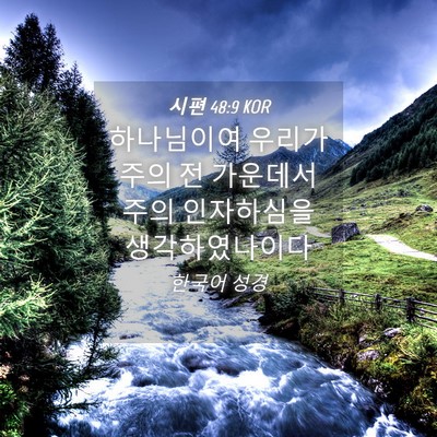 Picture 04 - 시편 48:9 KOR - 하나님이여 우리가 주의 전 가운데서 - Bible Verse Picture