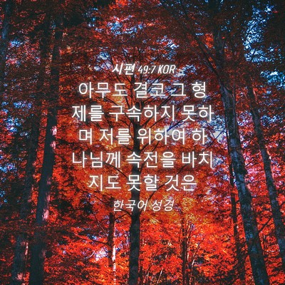Picture 04 - 시편 49:7 KOR - 아무도 결코 그 형제를 구속하지 - Bible Verse Picture