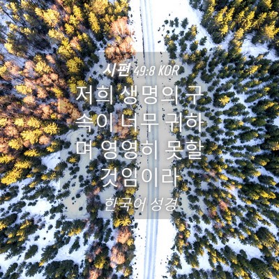 Picture 04 - 시편 49:8 KOR - 저희 생명의 구속이 너무 귀하며 - Bible Verse Picture