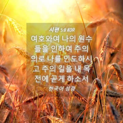 Picture 04 - 시편 5:8 KOR - 여호와여 나의 원수들을 인하여 주의 - Bible Verse Picture