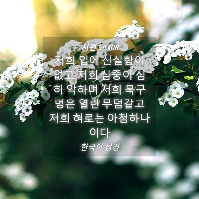 Picture 04 - 시편 5:9 KOR - 저희 입에 신실함이 없고 저희 - Bible Verse Picture