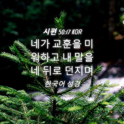 Picture 04 - 시편 50:17 KOR - 네가 교훈을 미워하고 내 말을 네 - Bible Verse Picture