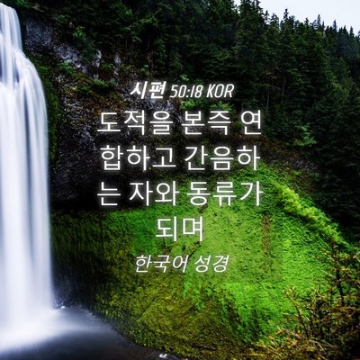 Picture 04 - 시편 50:18 KOR - 도적을 본즉 연합하고 간음하는 자와 - Bible Verse Picture