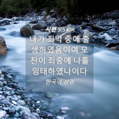 Picture 04 - 시편 51:5 KOR - 내가 죄악 중에 출생하였음이여 - Bible Verse Picture