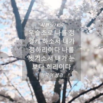 Picture 04 - 시편 51:7 KOR - 우슬초로 나를 정결케 하소서 내가 - Bible Verse Picture