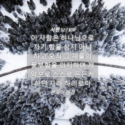 Picture 04 - 시편 52:7 KOR - 이 사람은 하나님으로 자기 힘을 - Bible Verse Picture