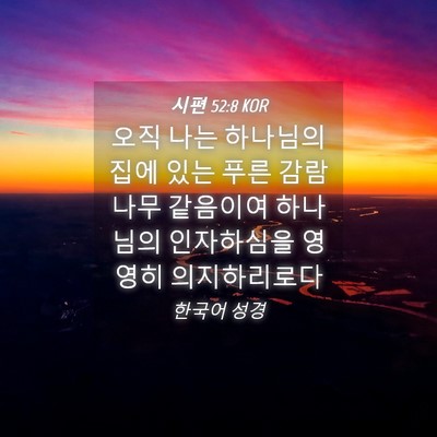 Picture 04 - 시편 52:8 KOR - 오직 나는 하나님의 집에 있는 푸른 - Bible Verse Picture