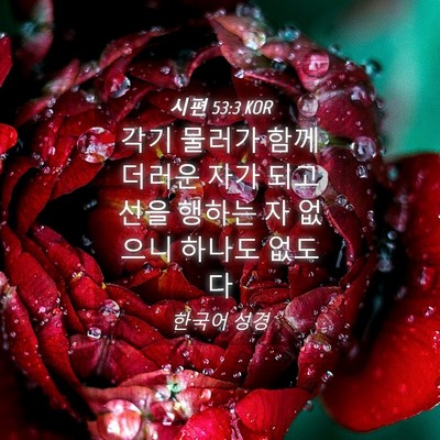 Picture 04 - 시편 53:3 KOR - 각기 물러가 함께 더러운 자가 되고 - Bible Verse Picture