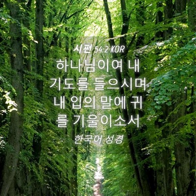 Picture 04 - 시편 54:2 KOR - 하나님이여 내 기도를 들으시며 내 - Bible Verse Picture