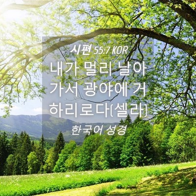 Picture 04 - 시편 55:7 KOR - 내가 멀리 날아가서 광야에 - Bible Verse Picture