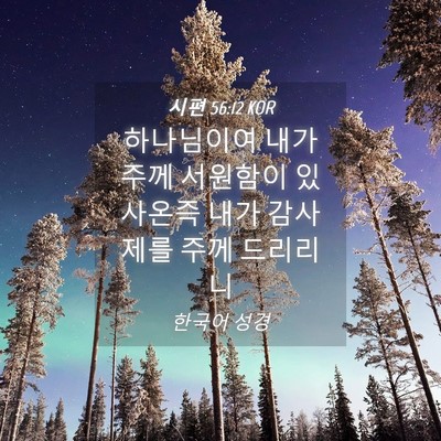 Picture 04 - 시편 56:12 KOR - 하나님이여 내가 주께 서원함이 - Bible Verse Picture