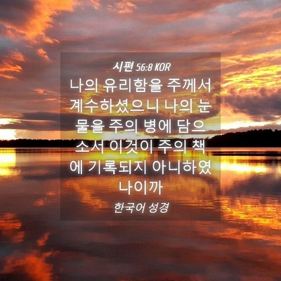 Picture 04 - 시편 56:8 KOR - 나의 유리함을 주께서 계수하셨으니 - Bible Verse Picture