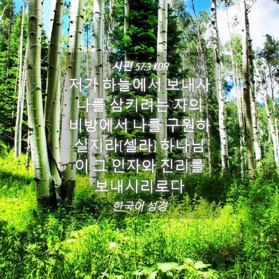 Picture 04 - 시편 57:3 KOR - 저가 하늘에서 보내사 나를 삼키려는 - Bible Verse Picture