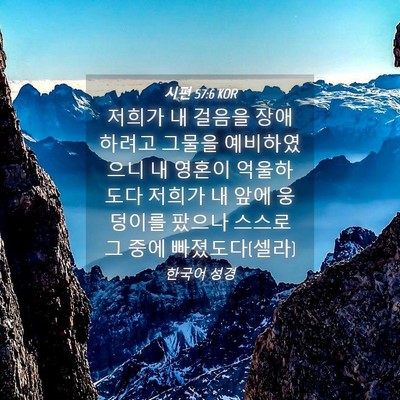 Picture 04 - 시편 57:6 KOR - 저희가 내 걸음을 장애하려고 그물을 - Bible Verse Picture