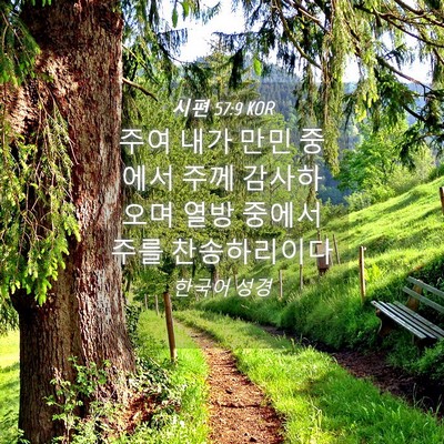 Picture 04 - 시편 57:9 KOR - 주여 내가 만민 중에서 주께 - Bible Verse Picture