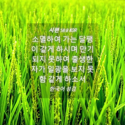 Picture 04 - 시편 58:8 KOR - 소멸하여 가는 달팽이 같게 하시며 - Bible Verse Picture