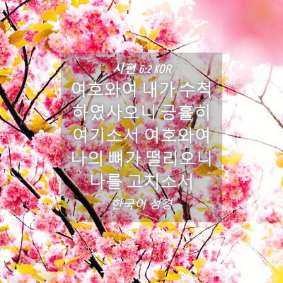 Picture 04 - 시편 6:2 KOR - 여호와여 내가 수척하였사오니 - Bible Verse Picture