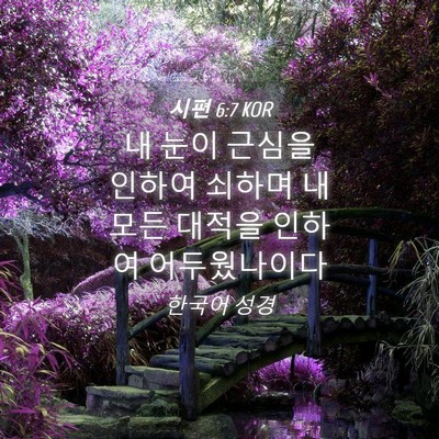 Picture 04 - 시편 6:7 KOR - 내 눈이 근심을 인하여 쇠하며 내 - Bible Verse Picture