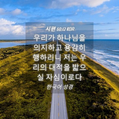 Picture 04 - 시편 60:12 KOR - 우리가 하나님을 의지하고 용감히 - Bible Verse Picture