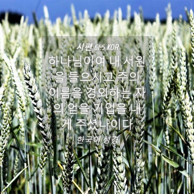Picture 04 - 시편 61:5 KOR - 하나님이여 내 서원을 들으시고 주의 - Bible Verse Picture