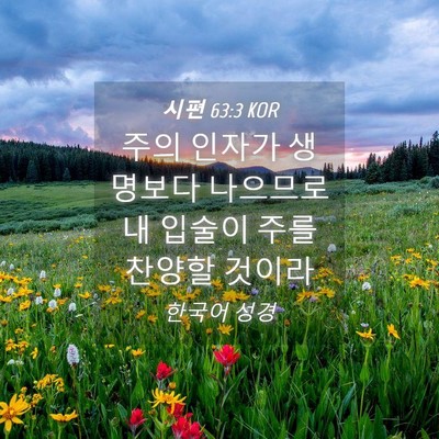 Picture 04 - 시편 63:3 KOR - 주의 인자가 생명보다 나으므로 내 - Bible Verse Picture