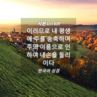 Picture 04 - 시편 63:4 KOR - 이러므로 내 평생에 주를 송축하며 - Bible Verse Picture