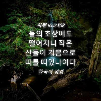 Picture 04 - 시편 65:12 KOR - 들의 초장에도 떨어지니 작은 산들이 - Bible Verse Picture