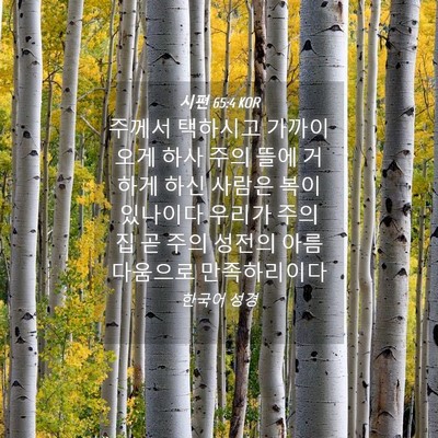 Picture 04 - 시편 65:4 KOR - 주께서 택하시고 가까이 오게 하사 - Bible Verse Picture