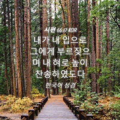Picture 04 - 시편 66:17 KOR - 내가 내 입으로 그에게 부르짖으며 - Bible Verse Picture