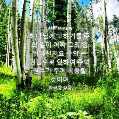 Picture 04 - 시편 66:3 KOR - 하나님께 고하기를 주의 일이 어찌 - Bible Verse Picture